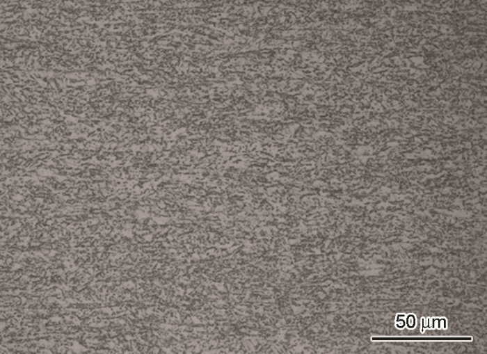 adac5491-a579-423f-bdd3-b0bbc123faee-image001.png