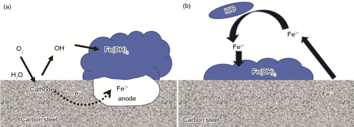 ABB47996-A3C1-43e5-9745-53E6754476DF-F003.png