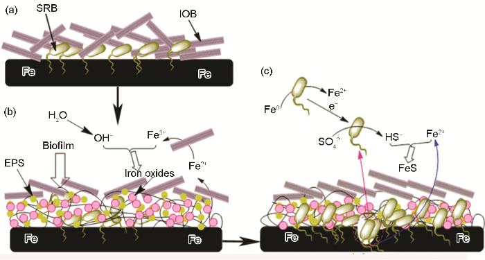 ABB47996-A3C1-43e5-9745-53E6754476DF-F004.png