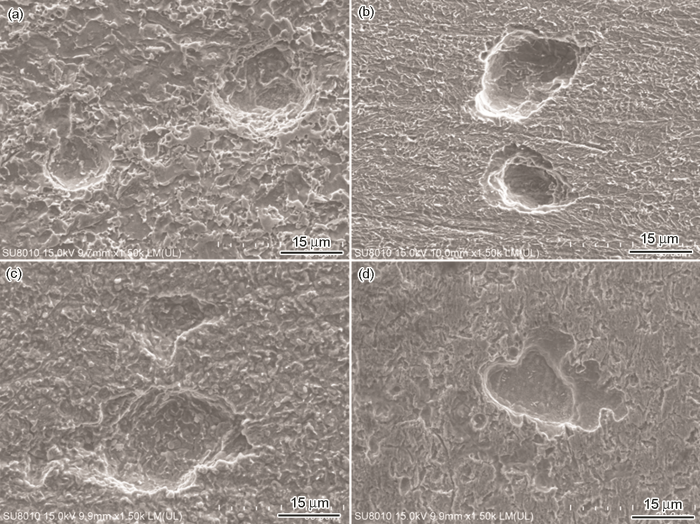 D048EEC2-51FD-4ddd-9884-48F9669A4D37-F007.png