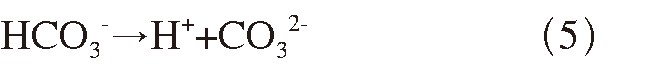 QMFK202106006_05400.jpg